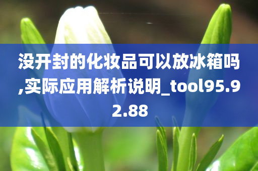 没开封的化妆品可以放冰箱吗,实际应用解析说明_tool95.92.88