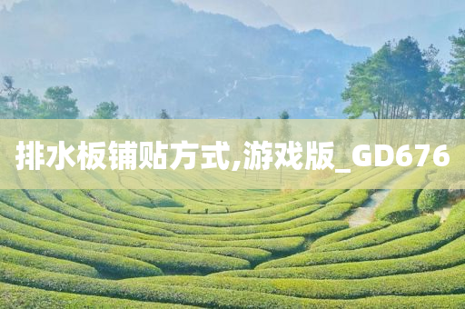 排水板铺贴方式,游戏版_GD676