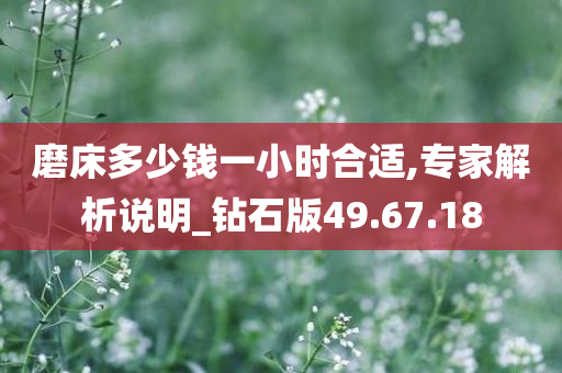 磨床多少钱一小时合适,专家解析说明_钻石版49.67.18