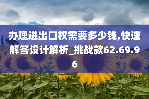 办理进出口权需要多少钱,快速解答设计解析_挑战款62.69.96