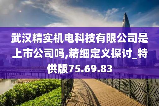 武汉精实机电科技有限公司是上市公司吗,精细定义探讨_特供版75.69.83