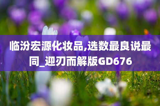 临汾宏源化妆品,选数最良说最同_迎刃而解版GD676