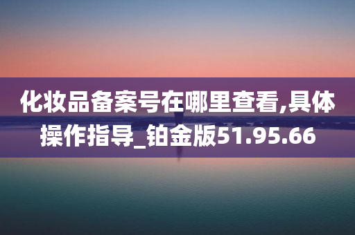 化妆品备案号在哪里查看,具体操作指导_铂金版51.95.66