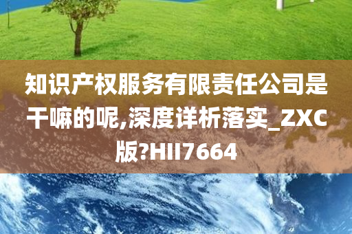 知识产权服务有限责任公司是干嘛的呢,深度详析落实_ZXC版?HII7664