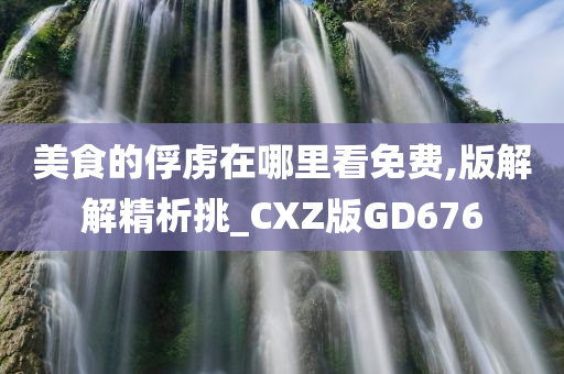 美食的俘虏在哪里看免费,版解解精析挑_CXZ版GD676