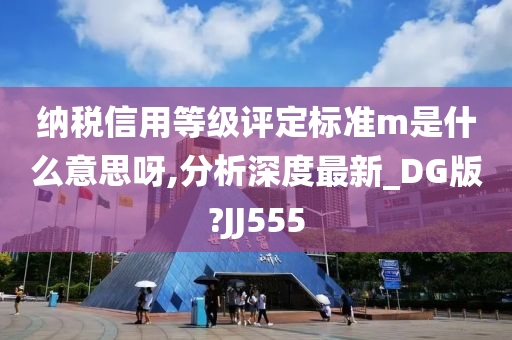 纳税信用等级评定标准m是什么意思呀,分析深度最新_DG版?JJ555