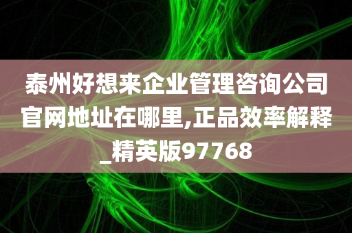 泰州好想来企业管理咨询公司官网地址在哪里,正品效率解释_精英版97768