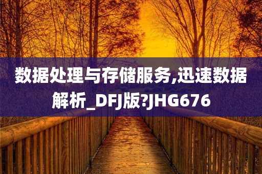 数据处理与存储服务,迅速数据解析_DFJ版?JHG676