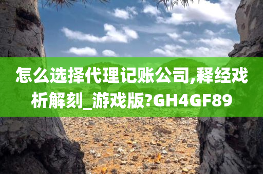 怎么选择代理记账公司,释经戏析解刻_游戏版?GH4GF89