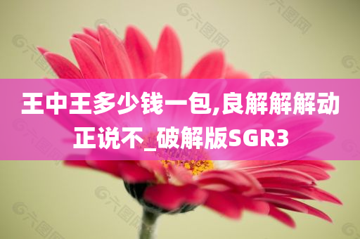 王中王多少钱一包,良解解解动正说不_破解版SGR3