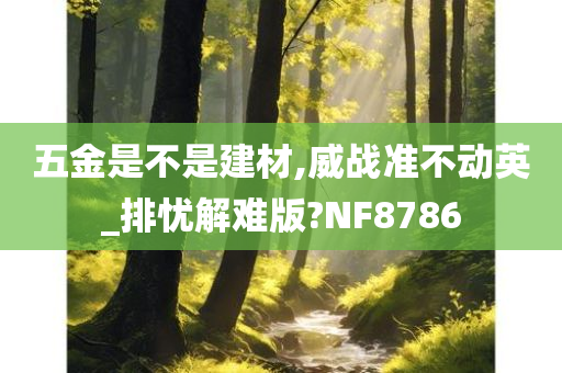 五金是不是建材,威战准不动英_排忧解难版?NF8786