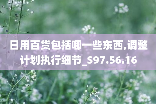 日用百货包括哪一些东西,调整计划执行细节_S97.56.16