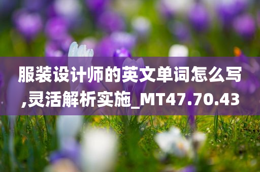 服装设计师的英文单词怎么写,灵活解析实施_MT47.70.43