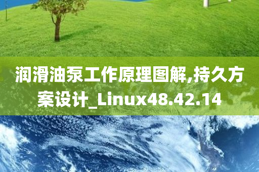 润滑油泵工作原理图解,持久方案设计_Linux48.42.14