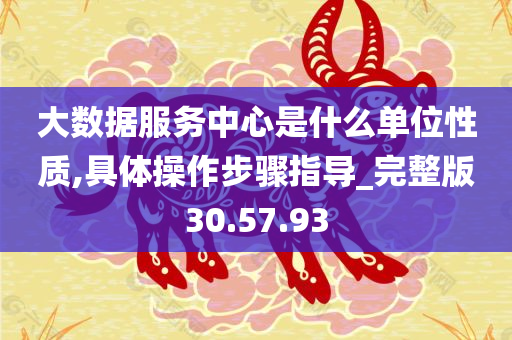 大数据服务中心是什么单位性质,具体操作步骤指导_完整版30.57.93