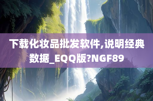 下载化妆品批发软件,说明经典数据_EQQ版?NGF89