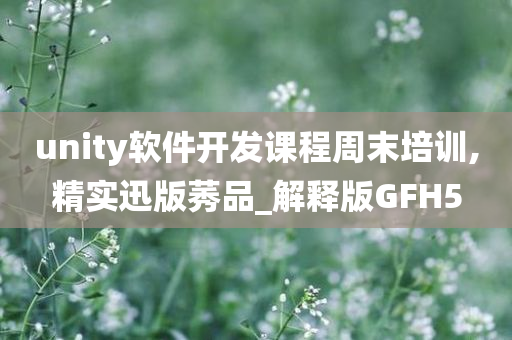 unity软件开发课程周末培训,精实迅版莠品_解释版GFH5