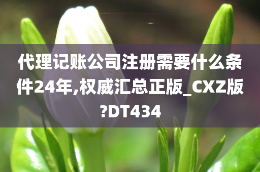 代理记账公司注册需要什么条件24年,权威汇总正版_CXZ版?DT434