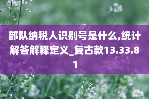 部队纳税人识别号是什么,统计解答解释定义_复古款13.33.81