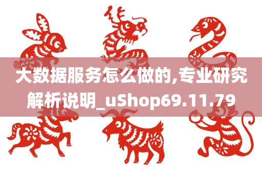 大数据服务怎么做的,专业研究解析说明_uShop69.11.79