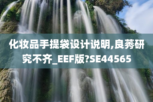 化妆品手提袋设计说明,良莠研究不齐_EEF版?SE44565