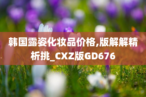 韩国露姿化妆品价格,版解解精析挑_CXZ版GD676