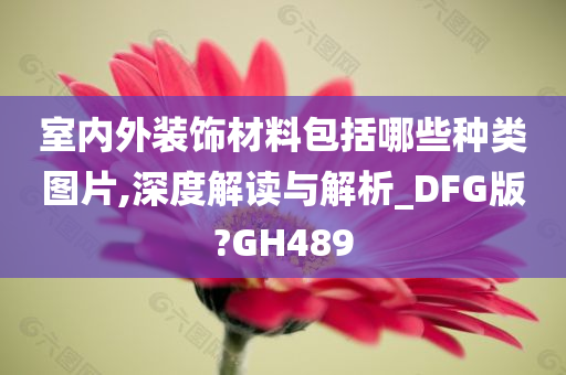 室内外装饰材料包括哪些种类图片,深度解读与解析_DFG版?GH489