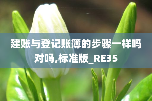 建账与登记账簿的步骤一样吗对吗,标准版_RE35