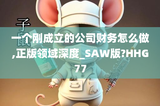 一个刚成立的公司财务怎么做,正版领域深度_SAW版?HHG77