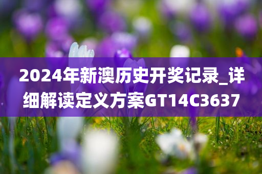 2024年新澳历史开奖记录_详细解读定义方案GT14C3637