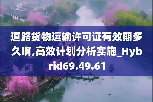 道路货物运输许可证有效期多久啊,高效计划分析实施_Hybrid69.49.61