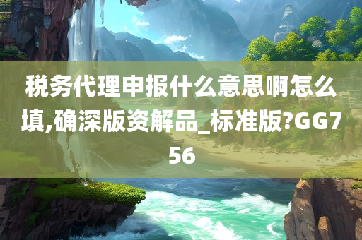 税务代理申报什么意思啊怎么填,确深版资解品_标准版?GG756