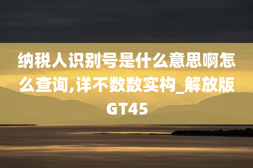 纳税人识别号是什么意思啊怎么查询,详不数数实构_解放版GT45