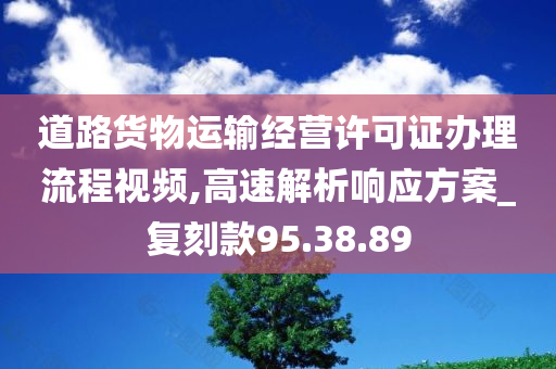 道路货物运输经营许可证办理流程视频,高速解析响应方案_复刻款95.38.89