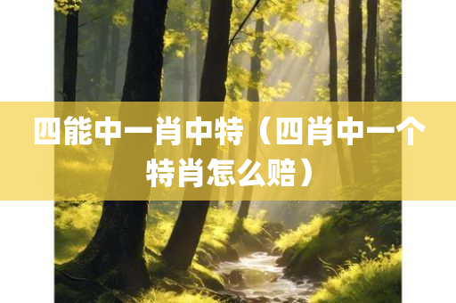 四能中一肖中特（四肖中一个特肖怎么赔）