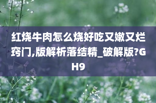 红烧牛肉怎么烧好吃又嫩又烂窍门,版解析落结精_破解版?GH9