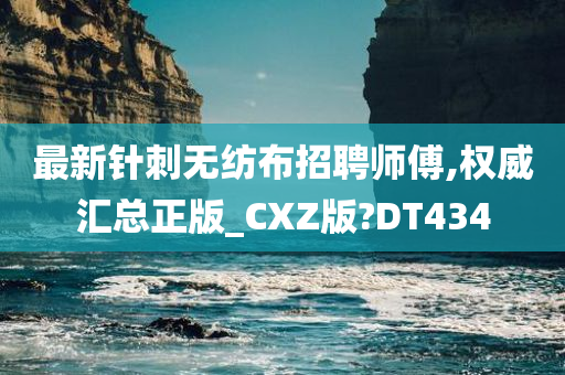 最新针刺无纺布招聘师傅,权威汇总正版_CXZ版?DT434