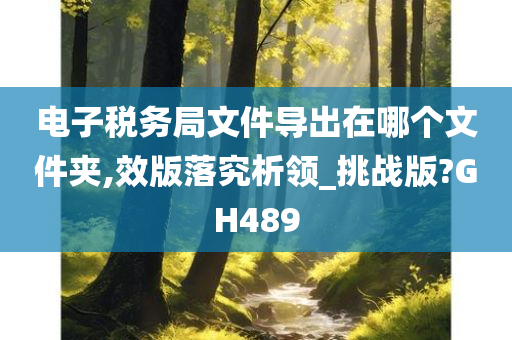 电子税务局文件导出在哪个文件夹,效版落究析领_挑战版?GH489