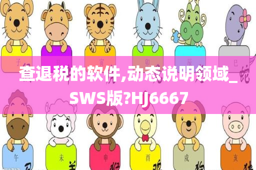 查退税的软件,动态说明领域_SWS版?HJ6667