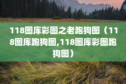 118图库彩图之老跑狗图（118图库跑狗图,118图库彩图跑狗图）