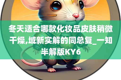 冬天适合哪款化妆品皮肤稍微干燥,域新实解的同总复_一知半解版KY6