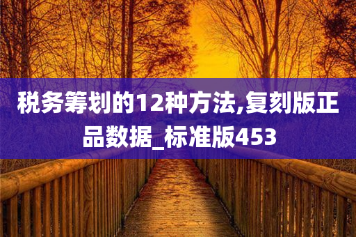 税务筹划的12种方法,复刻版正品数据_标准版453