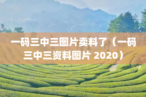 一码三中三图片卖料了（一码三中三资料图片 2020）