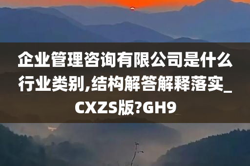 企业管理咨询有限公司是什么行业类别,结构解答解释落实_CXZS版?GH9