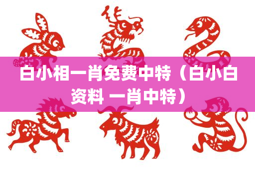 白小相一肖免费中特（白小白资料 一肖中特）