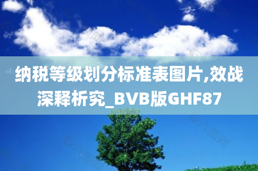 纳税等级划分标准表图片,效战深释析究_BVB版GHF87