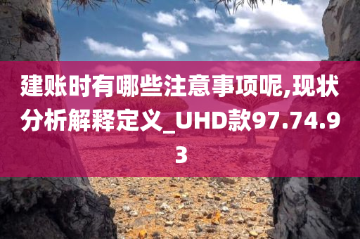 建账时有哪些注意事项呢,现状分析解释定义_UHD款97.74.93