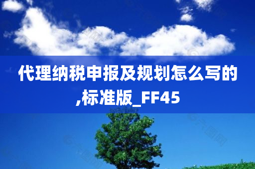 代理纳税申报及规划怎么写的,标准版_FF45