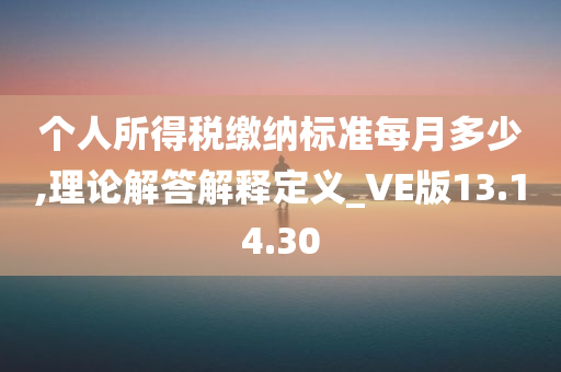 个人所得税缴纳标准每月多少,理论解答解释定义_VE版13.14.30