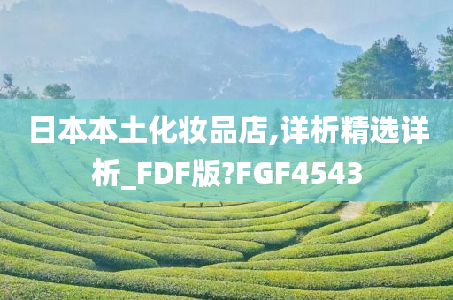 日本本土化妆品店,详析精选详析_FDF版?FGF4543